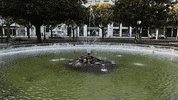 loop park GIF by A. L. Crego