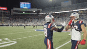 Stefon Diggs Football GIF by New England Patriots