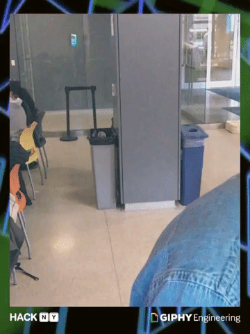 GIF by hackny