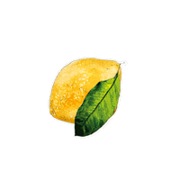 Cafe Sticker by ippacafeprague