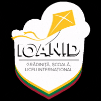 ioanidschool school fly high school kite GIF