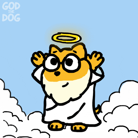 You Got This Crypto GIF by God The Dog