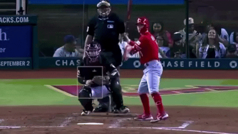 tesstass giphyupload GIF