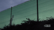 werder werderbremen GIF
