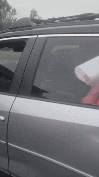 Handmaidstale GIF by WiperTags Wiper Covers