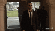 Ray Donovan Sunglasses GIF by PeacockTV