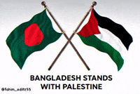 Palestine Bangladesh GIF