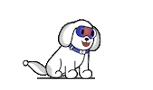 GoCharlieAI gocharliego charlie jetpack Sticker