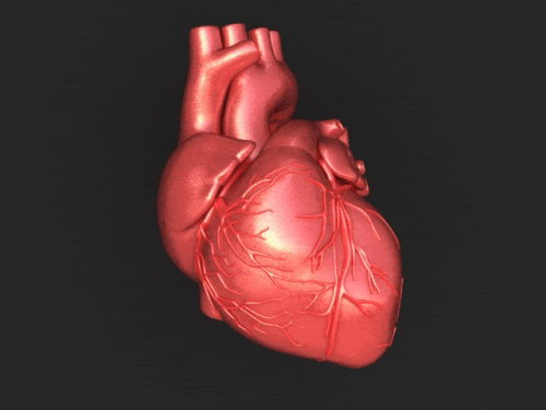 heart health GIF