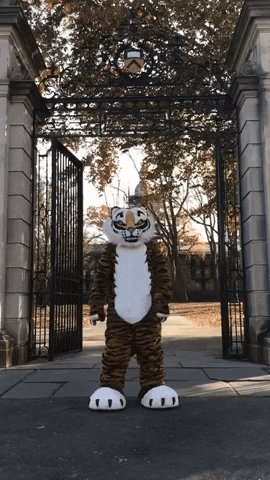 Go Tigers Tiger GIF by Princeton University