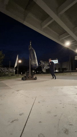 Martial Arts Gym GIF by Casol