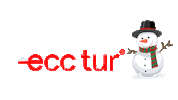 Snow Winter Sticker by Ecc tur