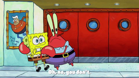 season 9 GIF by SpongeBob SquarePants