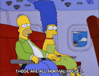 homer simpson GIF