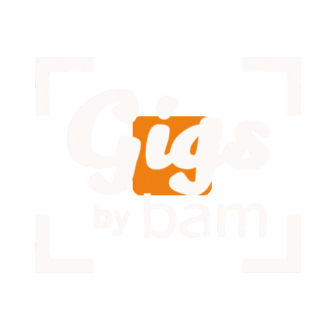 bamcases giphyupload musik bam case Sticker