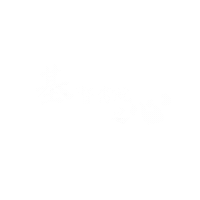 Ccst Sticker
