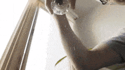 Nuskin Nu Skin Missed Cant Cook Badcook Dont Cook GIF by Xyngular