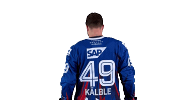 Eishockey Sticker by Adler Mannheim