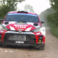 Camera Toyota GIF by FIA European Rally Championship