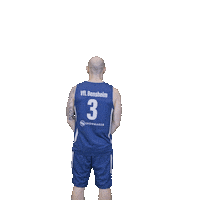 Bensheim Sticker by VfL Basketball