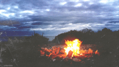 fire campfire GIF