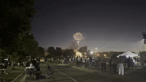 sydisenbergD7 giphyupload GIF