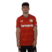Proud Club Love Sticker by Bayer 04 Leverkusen