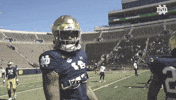 College Football GIF by Notre Dame Fighting Irish
