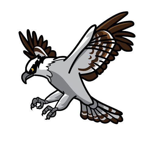 stocktonuniversity giphyupload nature bird flying Sticker