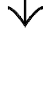 vincentmoustache giphyupload illustration black vintage Sticker