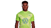 Soccer Sticker Sticker by VfL Wolfsburg
