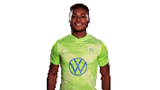 Soccer Sticker Sticker by VfL Wolfsburg