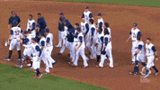 2017 world baseball classic wbc GIF by MLB