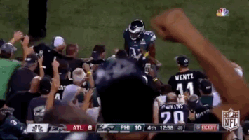 philadelphia eagles football GIF by NFL
