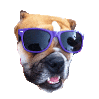 cool STICKER by imoji
