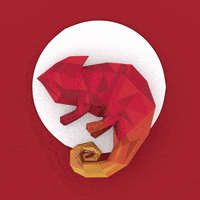 Socialgrooves red chameleon socialgrooves GIF