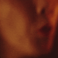 선지 GIF