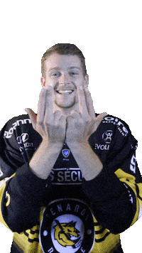 CHROANNAIS hockey fox 9 chr Sticker