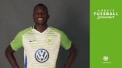 josuha guilavogui yes GIF by VfL Wolfsburg
