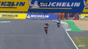 Celebrate Le Mans GIF by MotoGP™