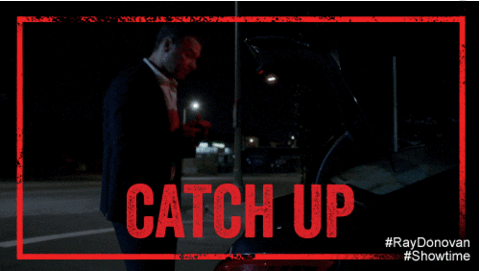 ray donovan GIF by Showtime