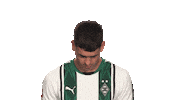 Look Up Borussia Moenchengladbach Sticker by Bundesliga