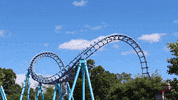 Roller Coaster Boomerang GIF by Lake Compounce