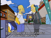 homer simpson GIF