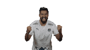 Noboa Celebrating Sticker by pfcsochi