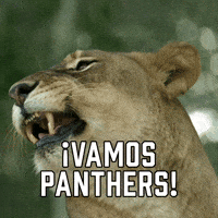 ¡Vamos Panthers!