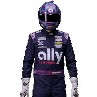 Alex Bowman Nascar Sticker by AllyRacing