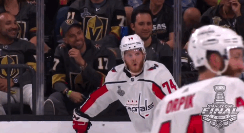 happy ice hockey GIF by NHL