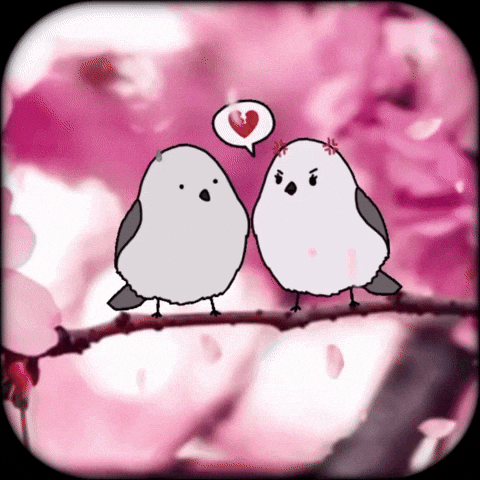 Mad Angry Birds GIF