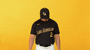 Cal State La Sport GIF by Cal State LA Golden Eagles